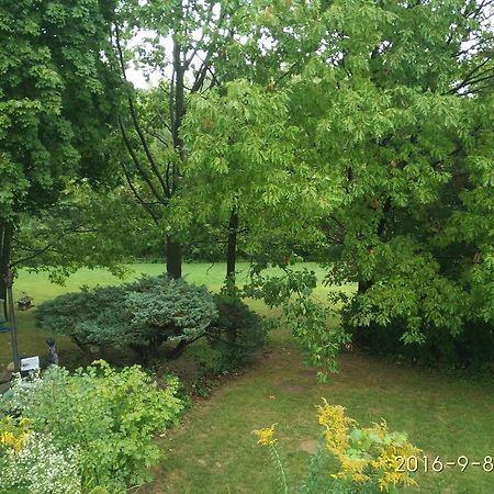 多伦多邓肯公园民宿 Toronto Duncan Park Guesthouse Bagian luar foto