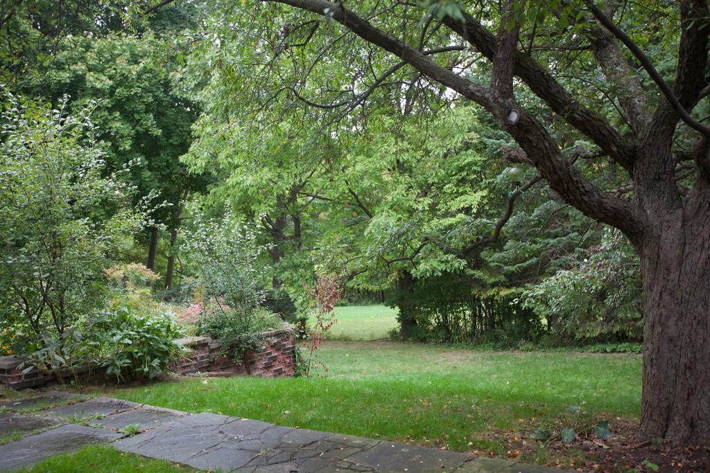 多伦多邓肯公园民宿 Toronto Duncan Park Guesthouse Bagian luar foto