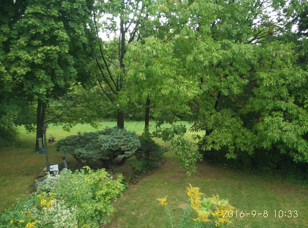 多伦多邓肯公园民宿 Toronto Duncan Park Guesthouse Bagian luar foto